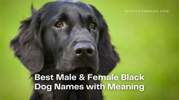 400 Best Male And Female Aztec Names