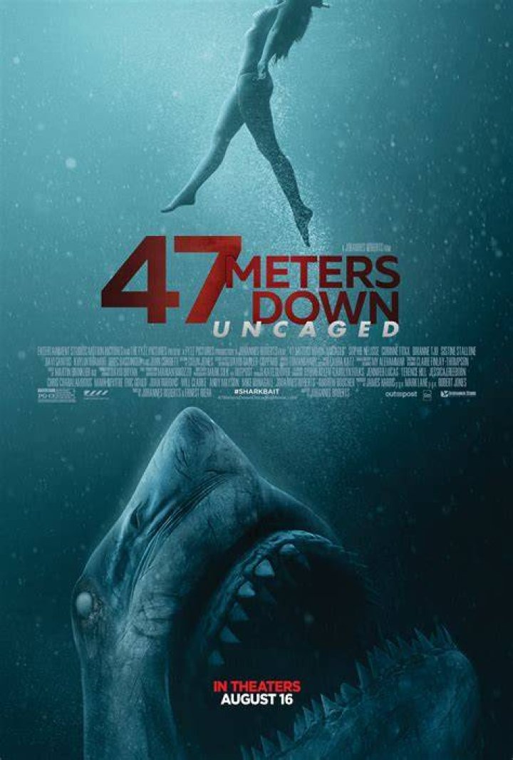 47 Meters Down Uncaged (2019) Review This sequel doesn't have cages