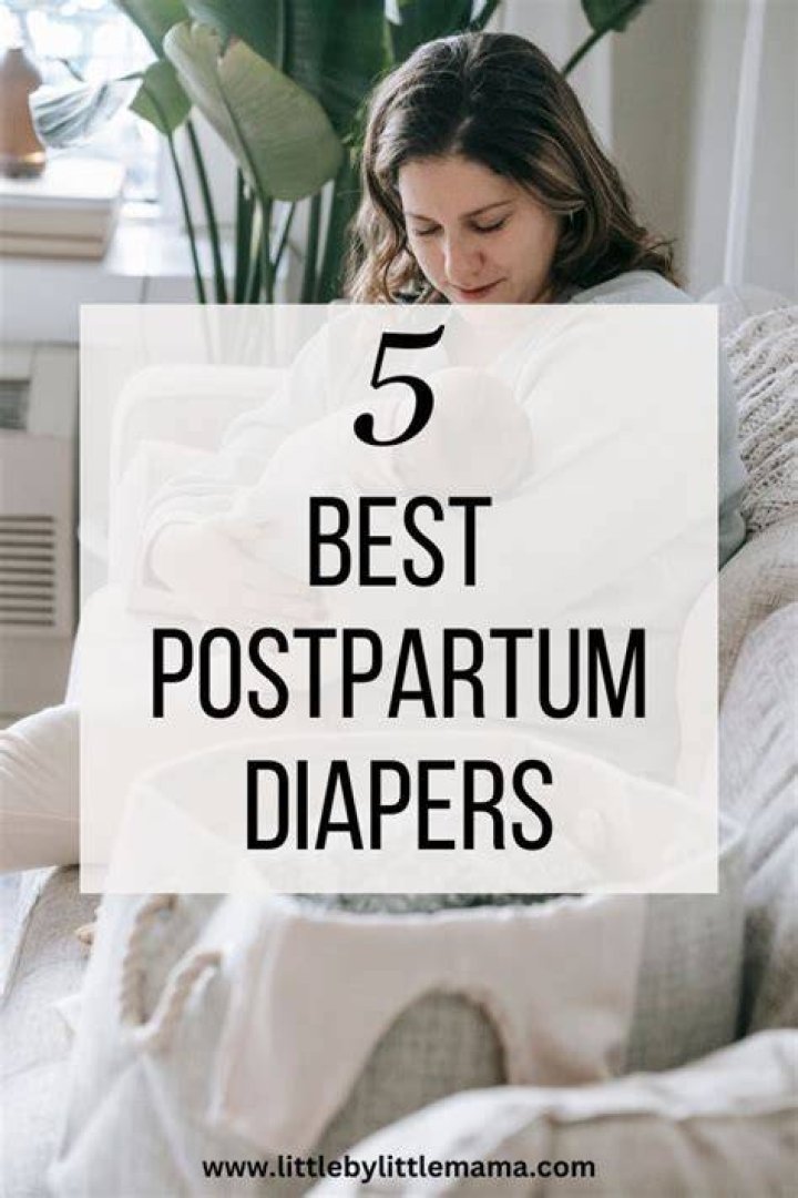 5 Best Postpartum Diapers of 2023