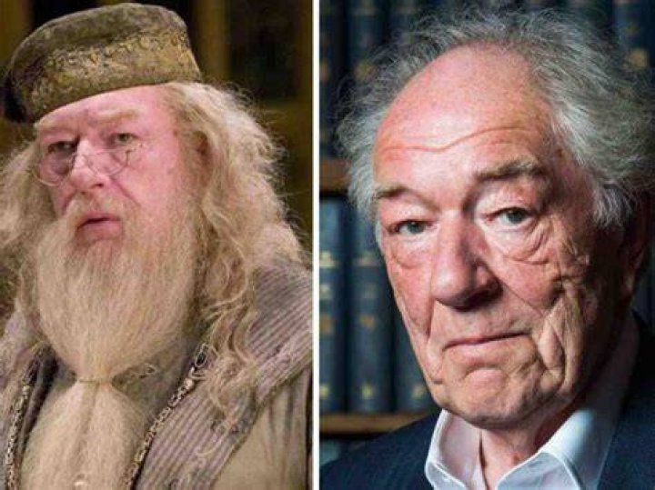 Actors Who Have Portrayed Albus Dumbledore In The Movies