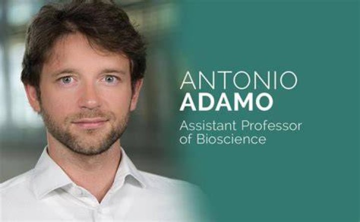 Adamo BertacchiMorroni photos, news, filmography, quotes and facts