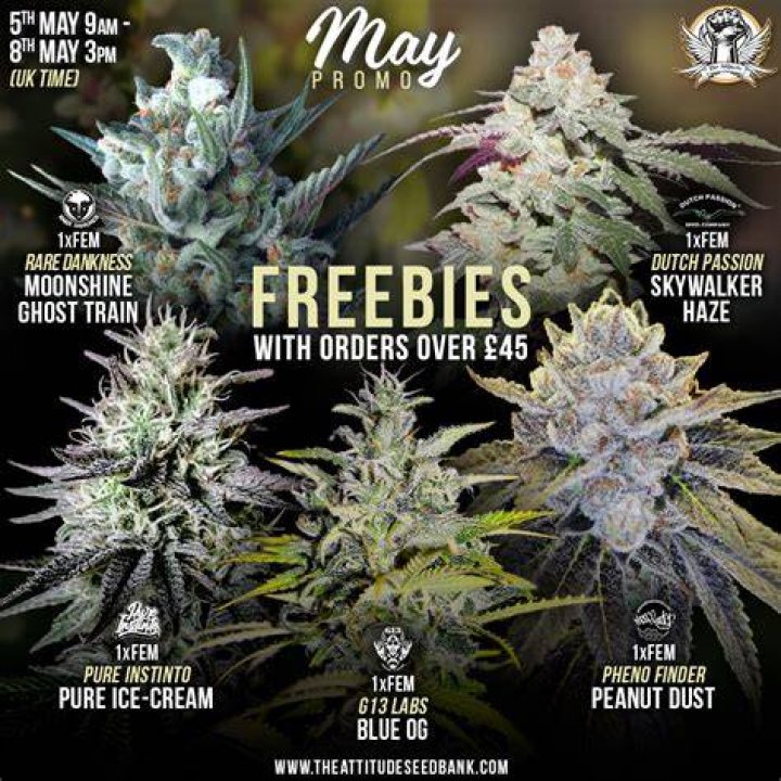 Attitude Seedbank May Promo Strain Talk UK420