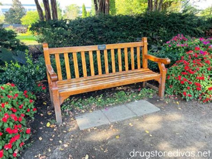Bench at Centennial Park dedicated to Taylor Swift YouTube