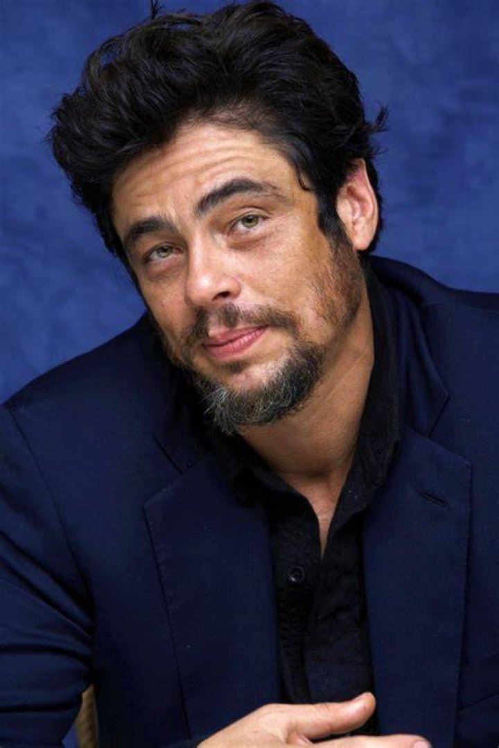 Benicio del Toro Bio, family, net worth