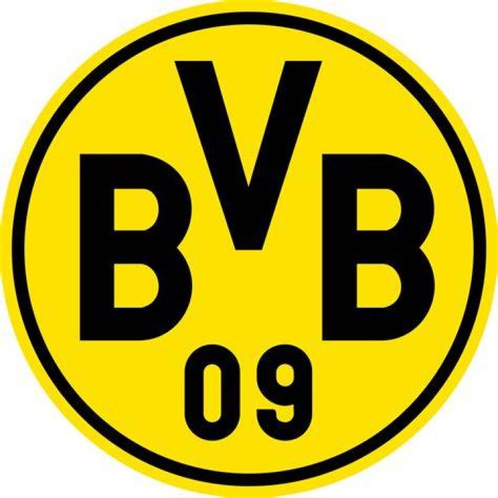 Borussia Dortmund's Jude Bellingham makes senior England debut Bundesliga