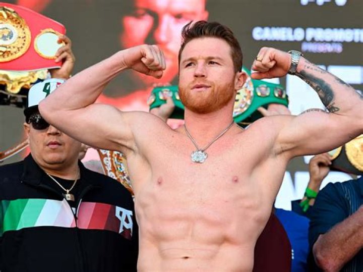 Canelo &Aacute;lvarez Cu&aacute;l es el nivel de estudios del boxeador mexicano