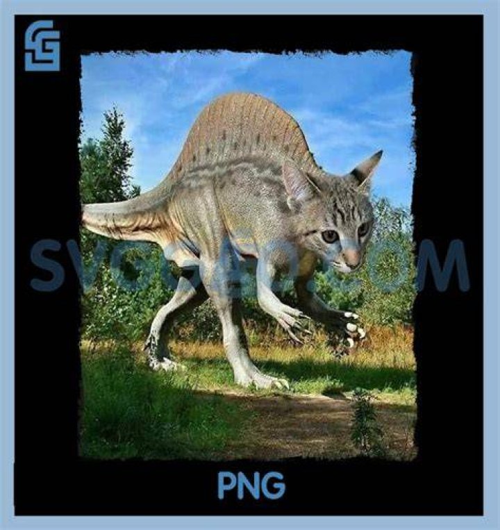 Catosaurus Rex a giant cat has found new owners Pictolic