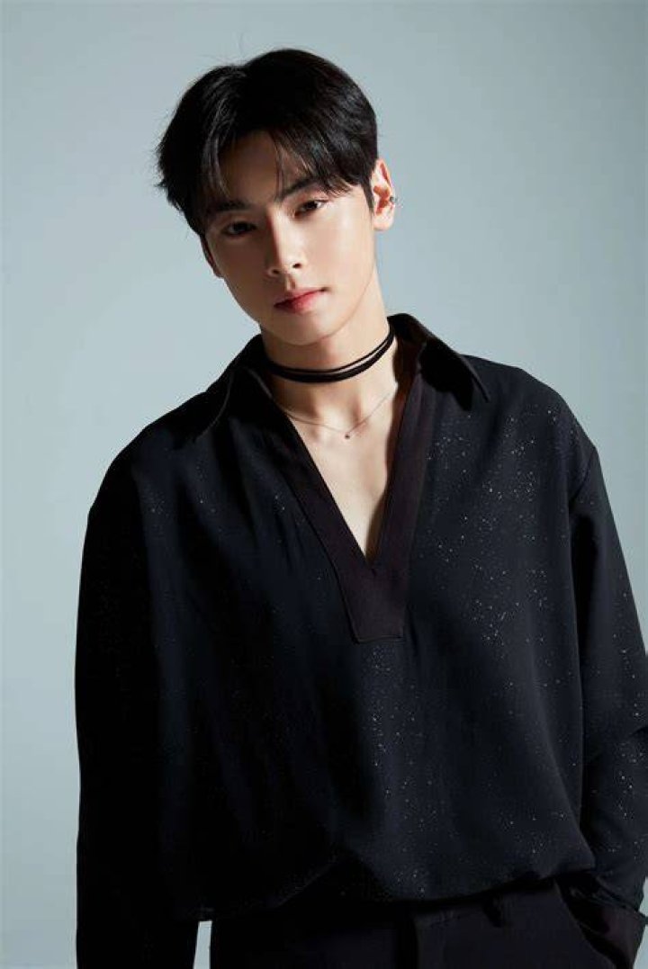 Cha Eun Woo Drama Wiki Fandom