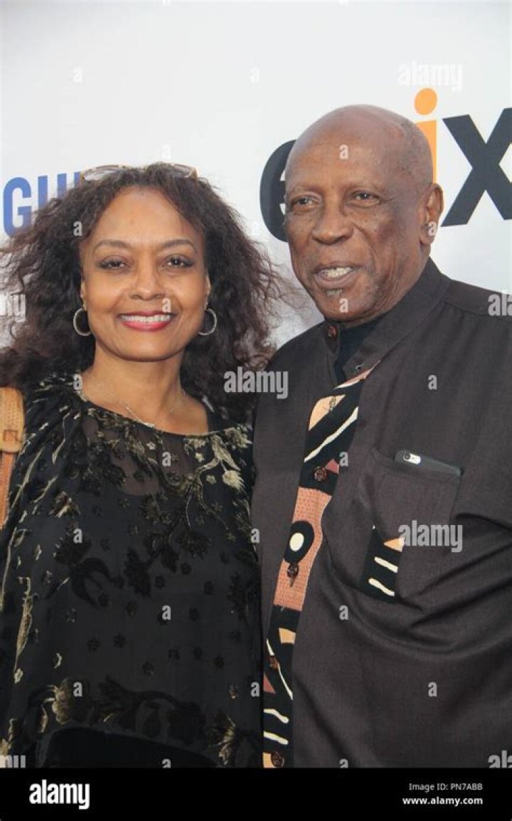 Cyndi James Gossett Where is Louis Gossett Jr.'s ExWife now Dicy Trends