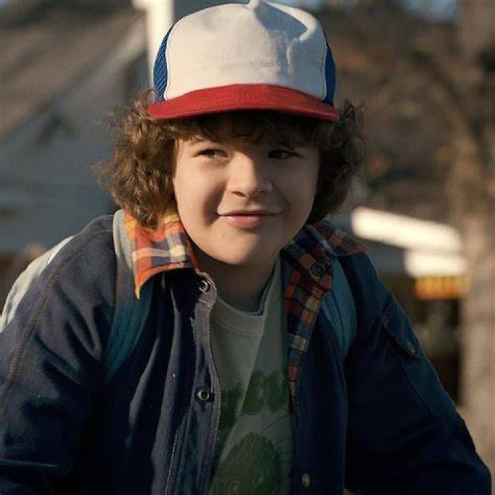 Dustin Henderson Stranger things tv, Stranger things dustin, Stranger