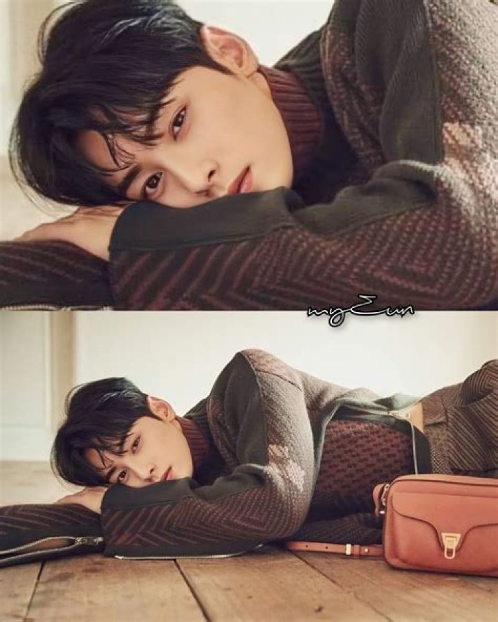 eunwoo pics on Twitter "💖💐 ㅡ astro 아스트로 chaeunwoo 차은우&hellip; " Pig