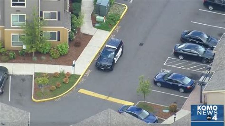 Federal Way gun owner charged after 8yearold shoots 9yearold