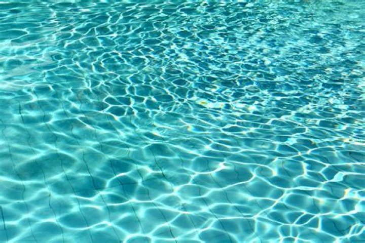 Free Images reflection, swimming pool, blue, flowers, more