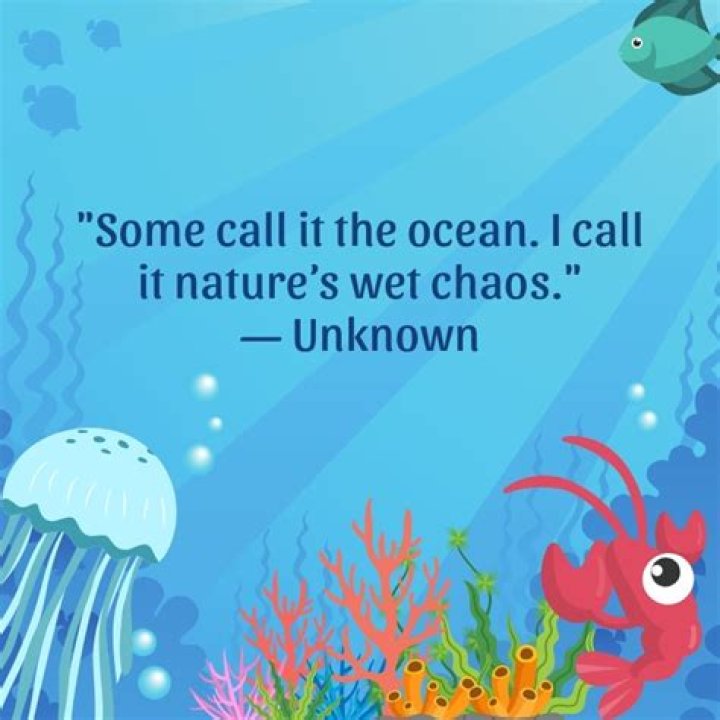 Funny Ocean Quotes ShortQuotes.cc