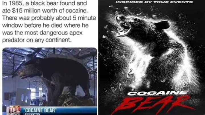 [Image 90724] Cocaine Bear Know Your Meme