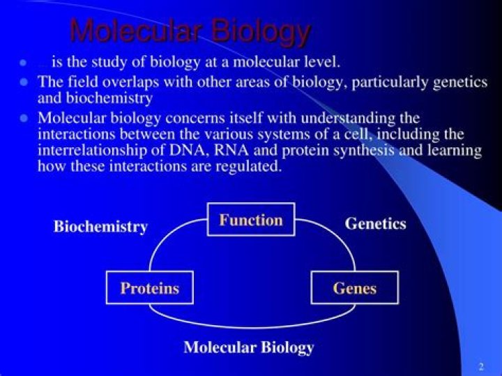 JENNIFER NESS MS Molecular Biology, Evol. Plant Breeding Systems