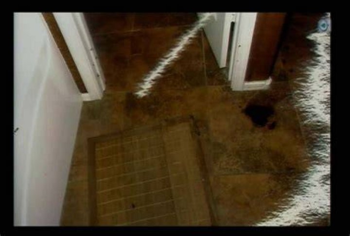 Jodi Arias Travis Alexander Evidence