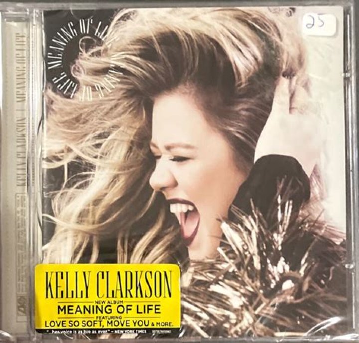 Kelly Clarkson&rsquo;s Meaning of Life is exceptional