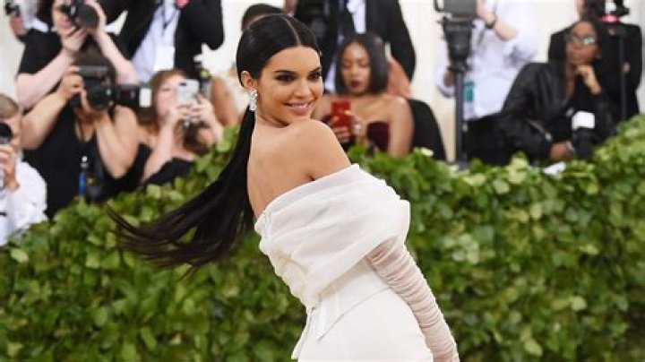 Kendall Jenner Spends Her Saturday With An Unlikely New Friend Access