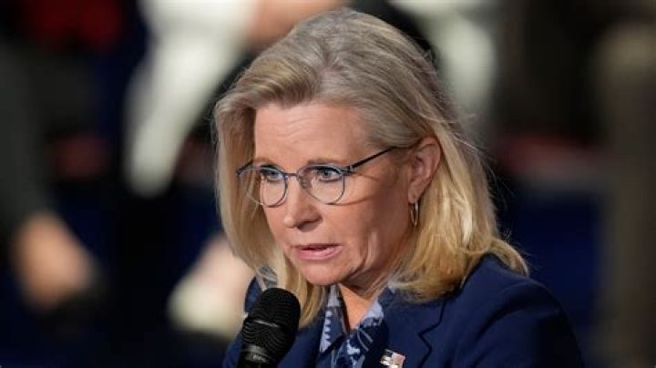 Know All About Liz Cheney Husband Philip Perry! Tan Hung Primary School