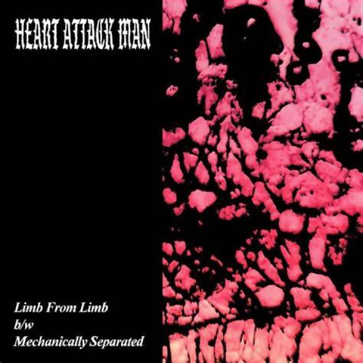 Limb From Limb Lyrics The Anatomy EP Only on JioSaavn