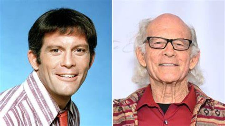 Max Gail's Wife Nan Harris Age, Wiki, Husband, Story