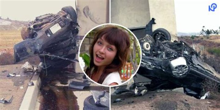 Nikki Cat Solar Death | Real Cause And Aftermath Explored