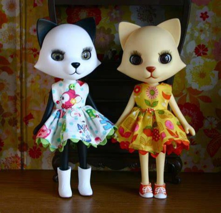 Nikki Cats Photo (730298) Fanpop