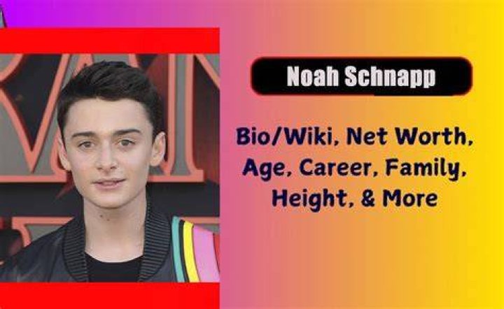Noah Schnapp Age, Height, Weight, Net Worth