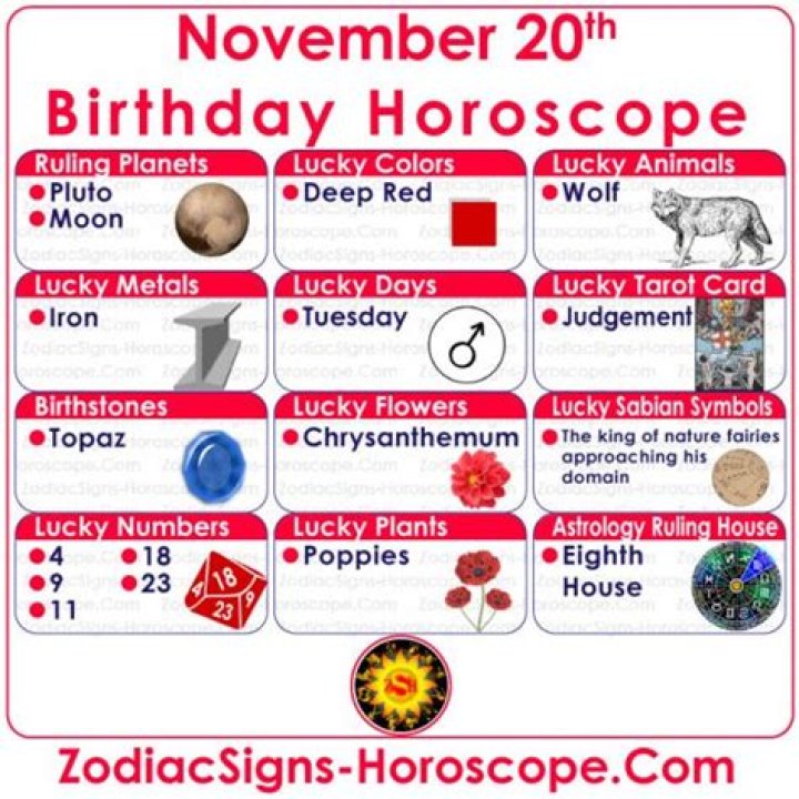 November 20 Zodiac Birthday Horoscope Personality