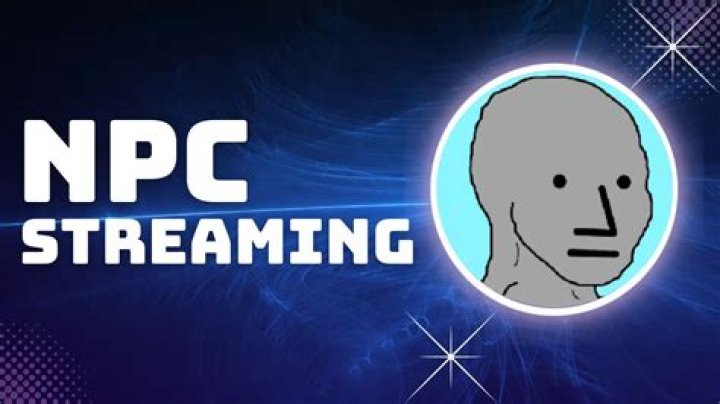 NPC streaming is absolutely baffling but it’s a TikTok hit