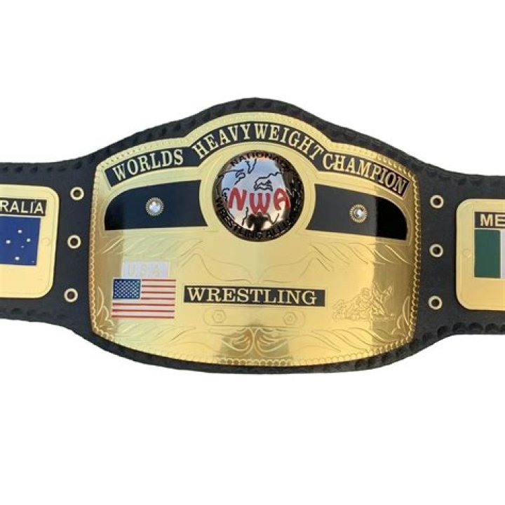 Page 5 6 NWA World Champions that never held the WWE title