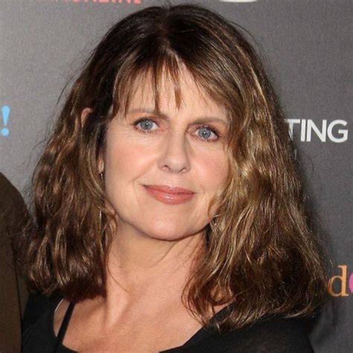 Pam Dawber List of Movies and TV Shows TV Guide