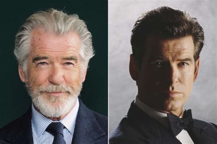 Pierce Brosnan Pierce Brosnan Photo (40397051) Fanpop