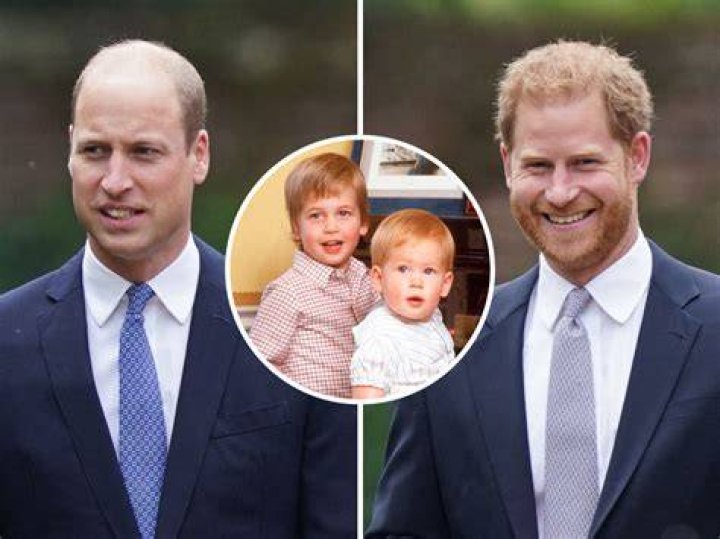 Princes Harry and William have stepsiblings Business Insider