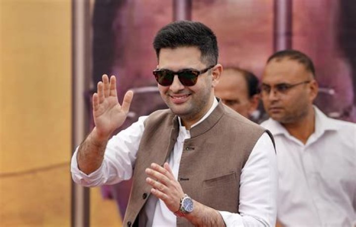 Raghav Chadha FauveFinlaec