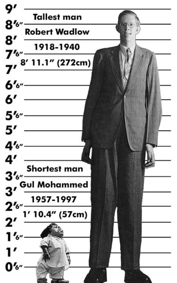 Robert Wadlow Height Chart
