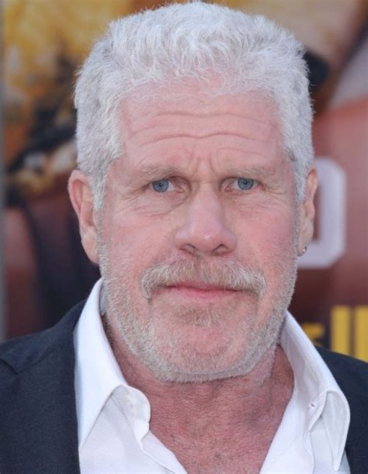 Ron Perlman Pictures Rotten Tomatoes