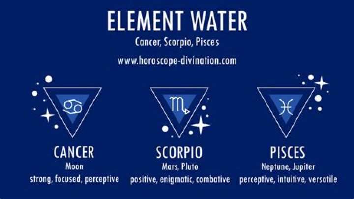 Scorpio truth. Water sign. Zodiac signs, Astrology signs, Zodiac