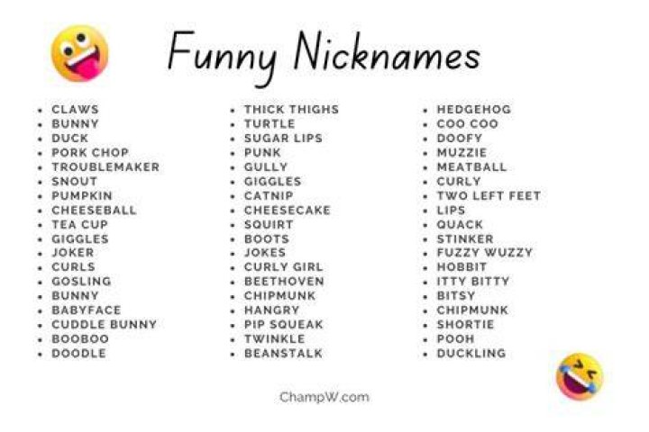 Silly Nicknames For Friends Witzige fakten, Fakten