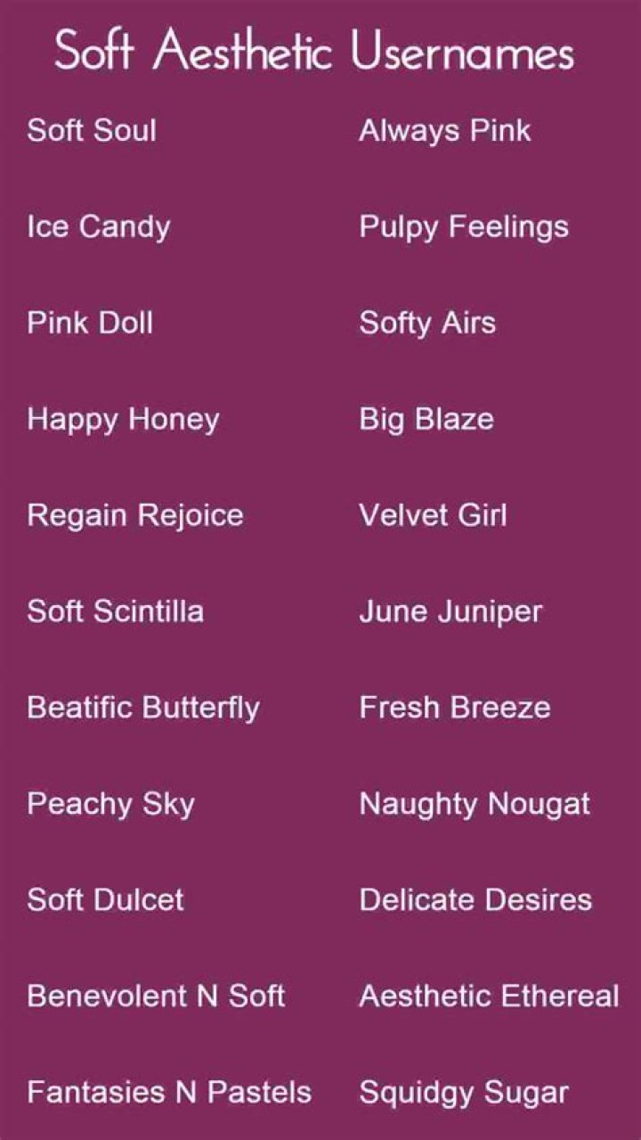 Soft Aesthetic Usernames For Tik Tok Fepitchon