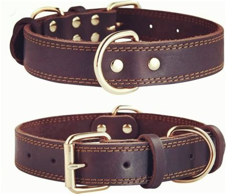 Soft Padded Genuine Leather Dog Collar for Medium and Large Breeds sz M