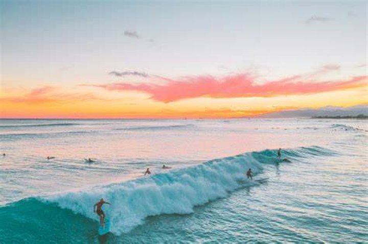 Surf's up Netflix and ZDFE coorder Werner Film Productions