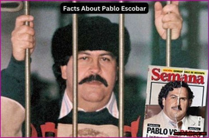 The Untold Truth About Pablo Escobar's Unfathomable Wealth
