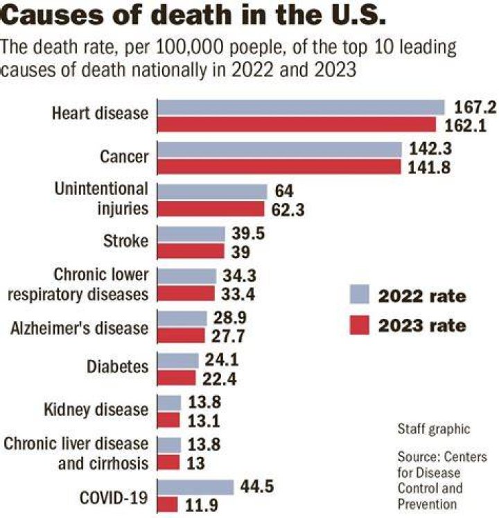 Top 5 Causes of Bird Death