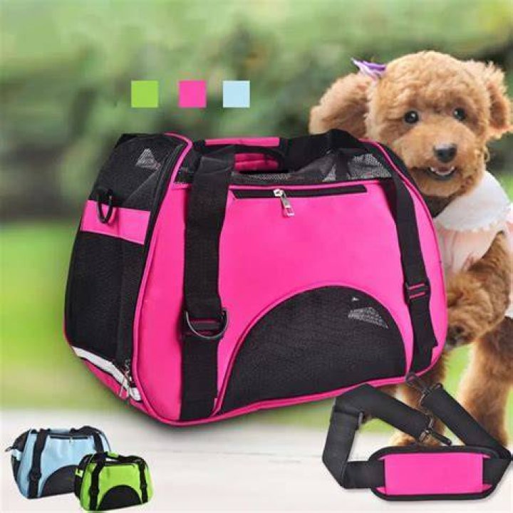 Top Quality Dog Carriers For Small Dogs Sport Style Pet Dog Cat Puppy