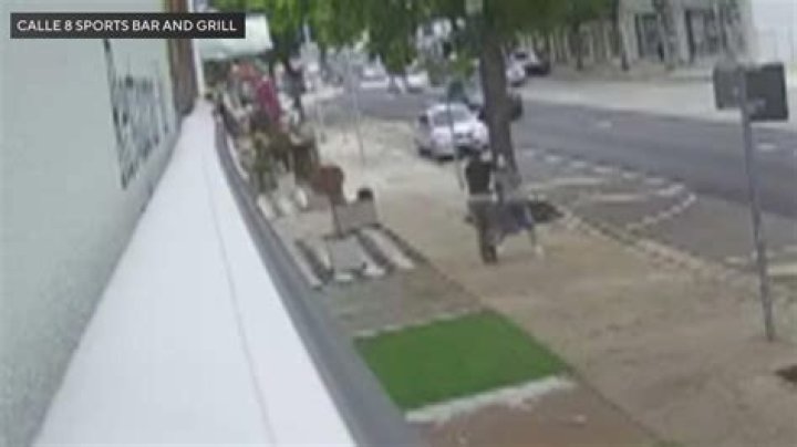 Video Shows Moment Woman Is Attacked By Snake Outside Her Home iHeart