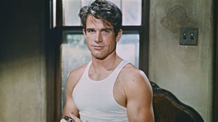 Warren Beatty Movies and Filmography AllMovie