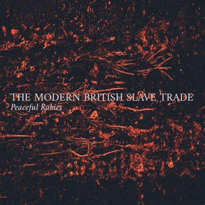 Watch The Modern British Slave Trade Prime Video