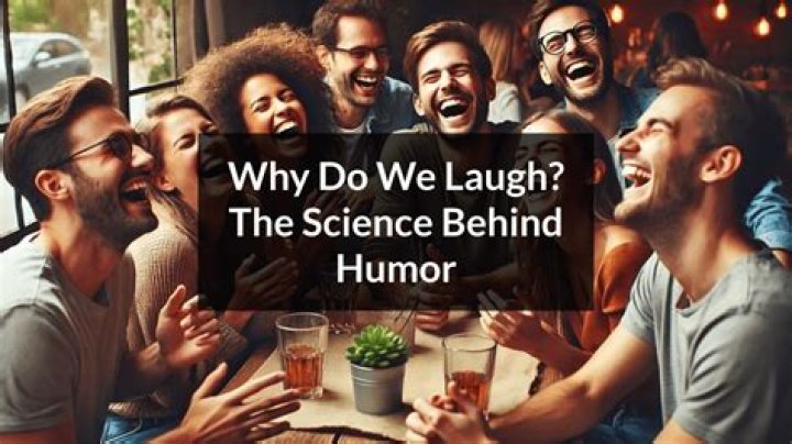 Why do we laugh at fat people on screen? SBS What's On